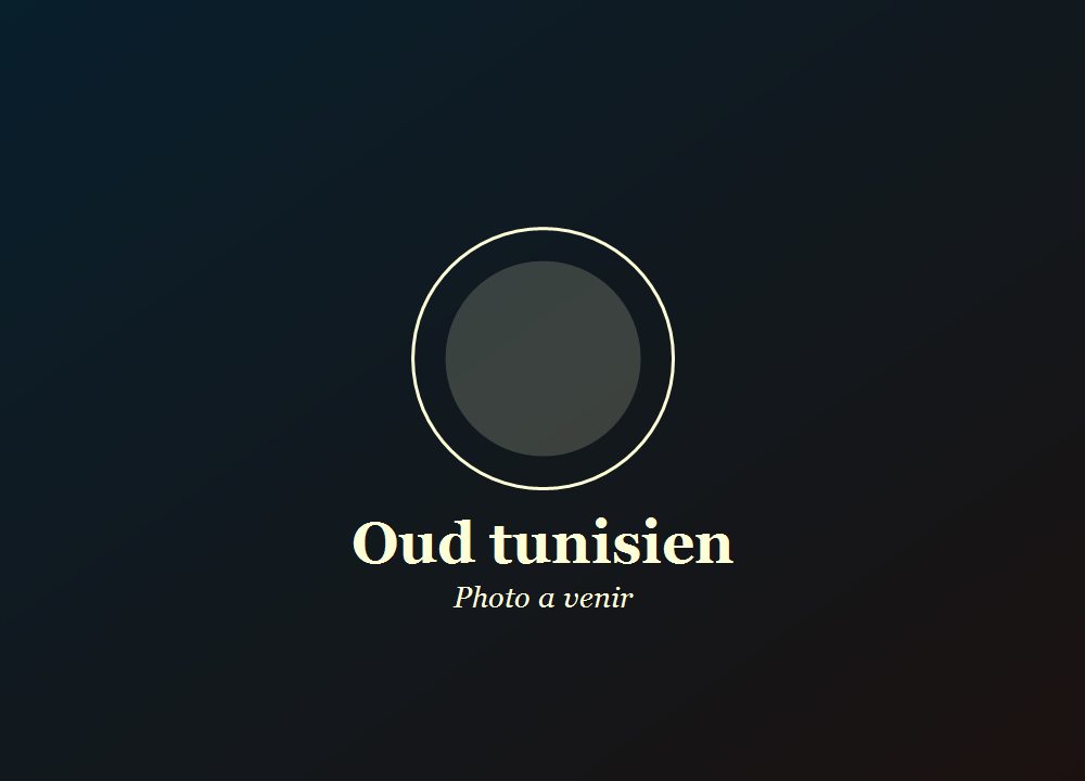 Tunisian oud
